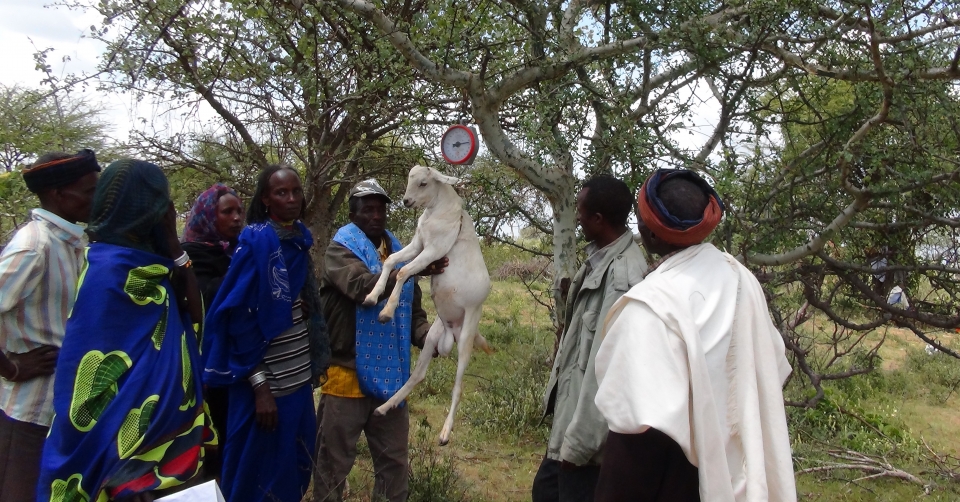 3rd ECHO East Africa Pastoralist Symposium